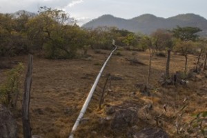 COCEPRADIL Honduras pipeline