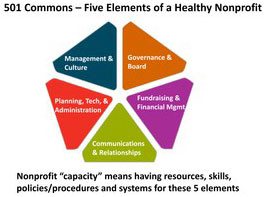 5 elements of a healthy nonprofit graphic