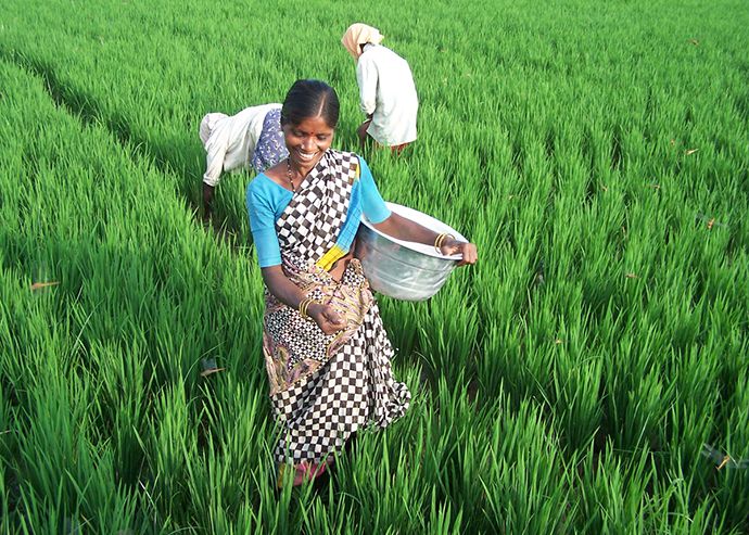 Woman with basket