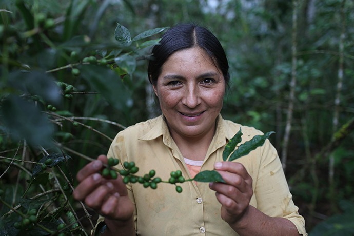 Maria Elva Correa Torres, 40, shows her coffee plants in Cajamarca, Peru