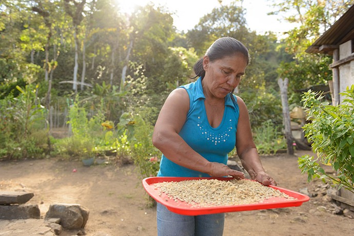 Woman with coffee beans on farm.
