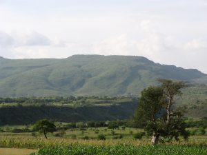 Lush, regrown hillside in Humbo, Ethiopia, 2007. Photo: World Vision.