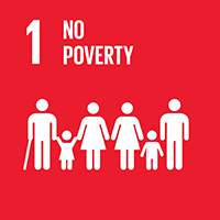 SDG goals icon