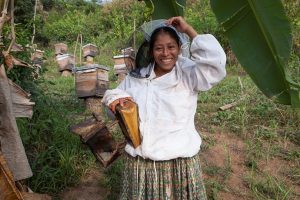 Estela Botzoc Tiul prepares to gather honey
