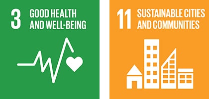 sdg graphic