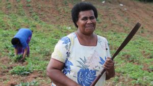A woman in Fiji cultivates her crops