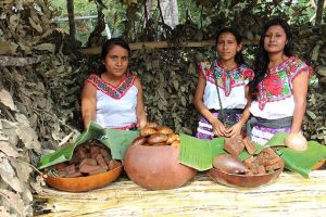 Indigenous Oaxacan women selling food at market