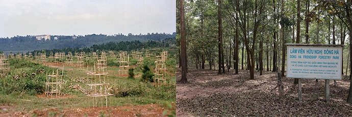 Land on left, land with trees on right