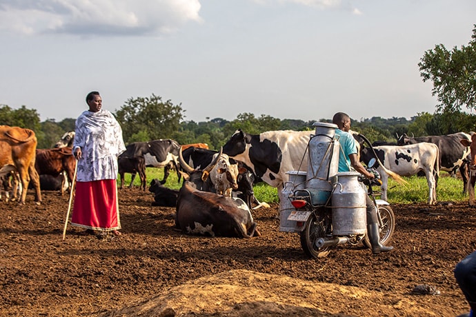 Livestock farmer Edith Nankunda