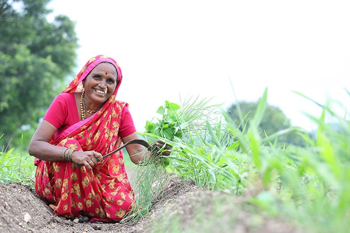 Women farmer in her ginger field