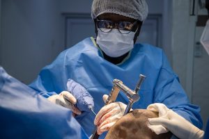 SIGN Surgeon Dr. Sibiri Ballu