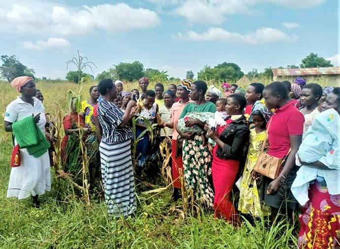 Farmers participate in training outdoors in a field