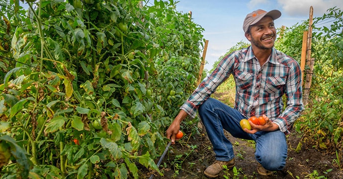 Man in field holding produce