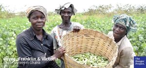 Farmers holding basket of produce