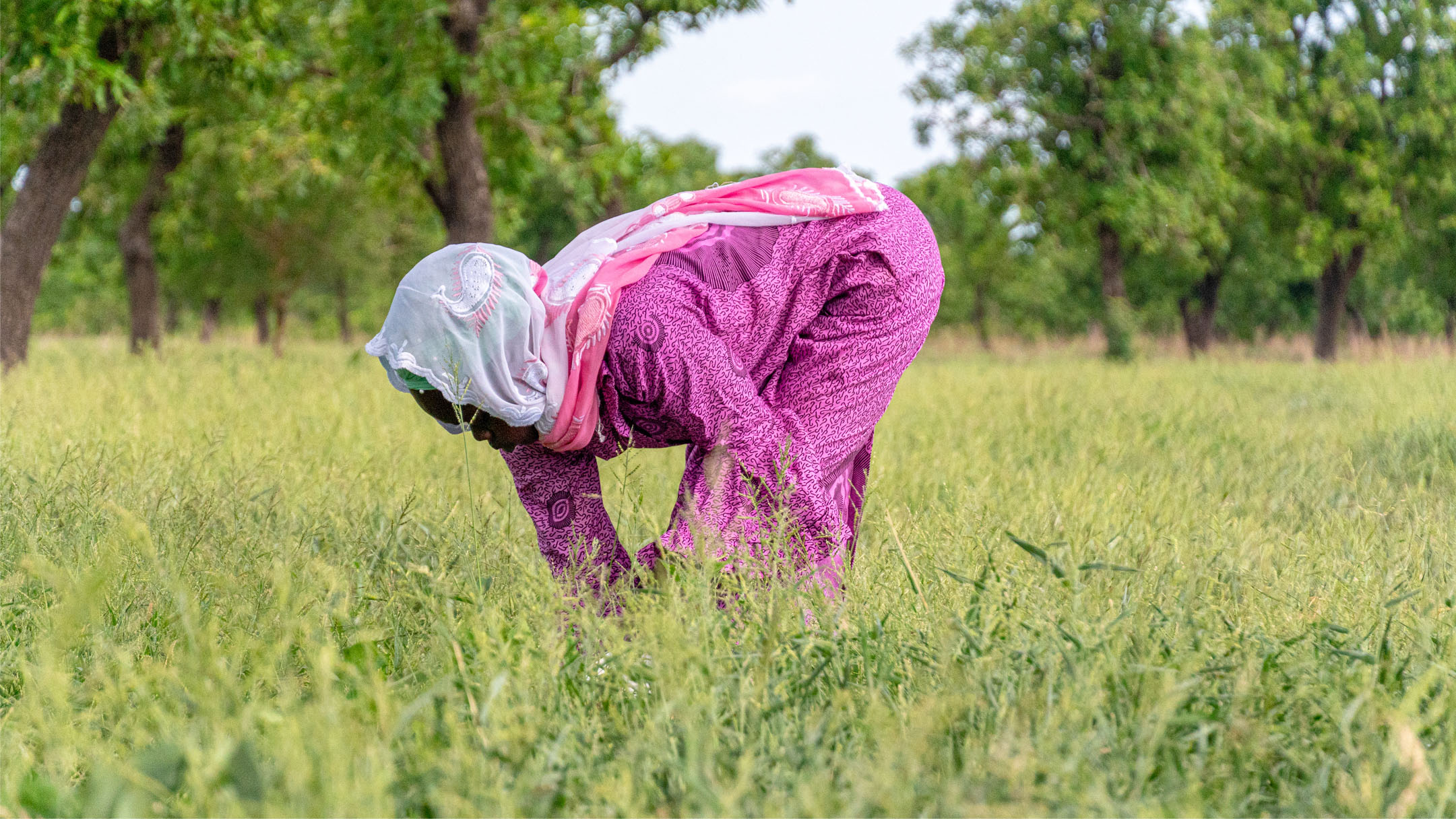 A young woman working in field