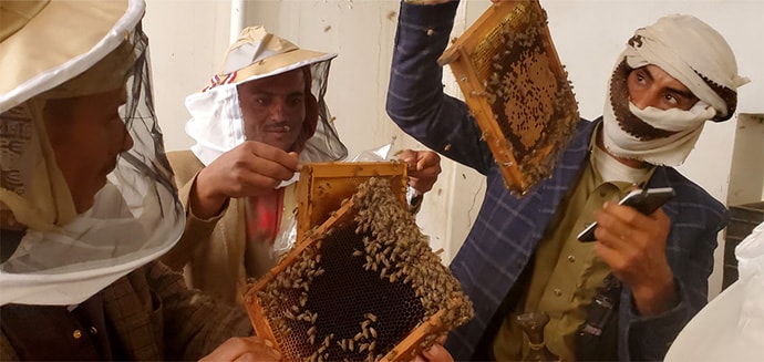 Men with beehives