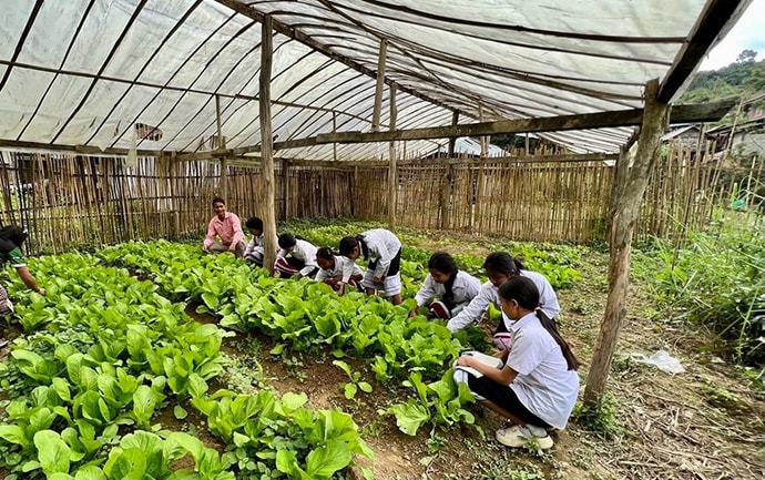 View of agriculture program and Gardening project 
