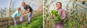 Alisa, 6, picks cucumbers with her grandfather Valerii
