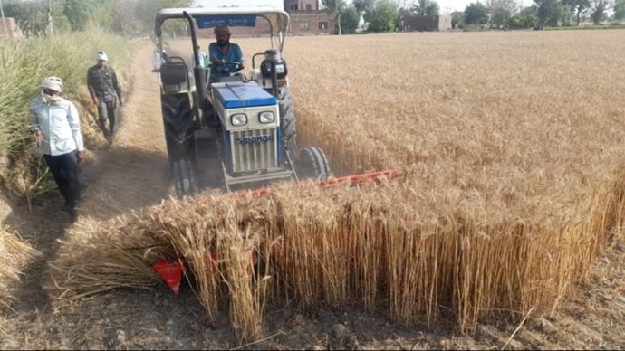View of tractor working in field