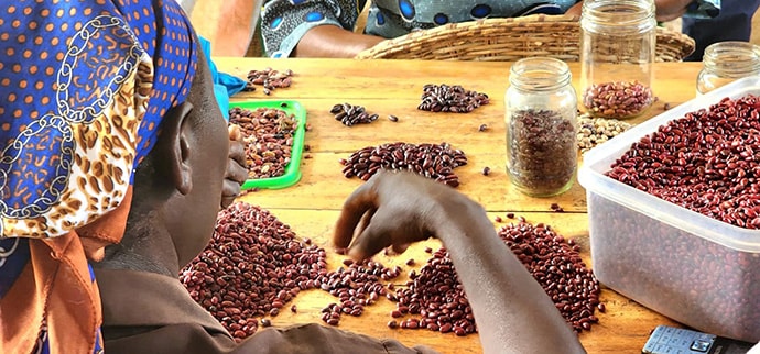 View of seeds