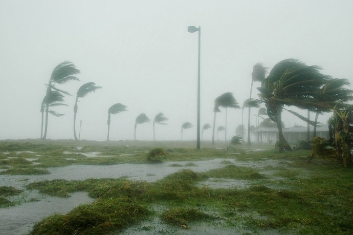 View of hurricane winds blowing trees