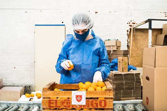 Photo of worker packing fruit