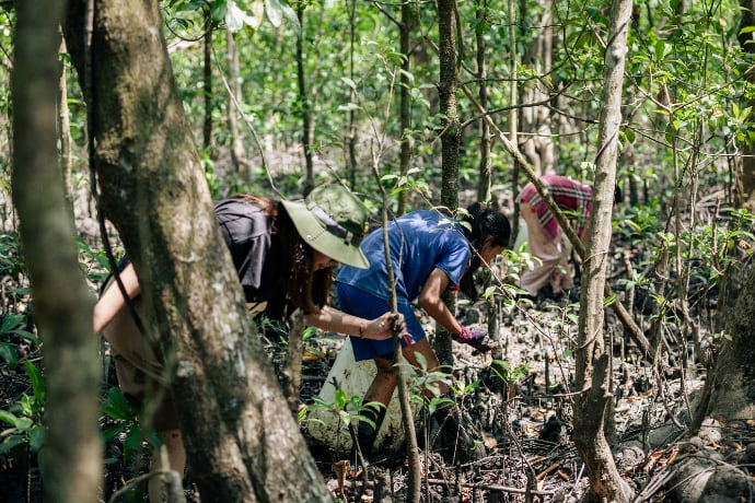 Photo of workers in forest