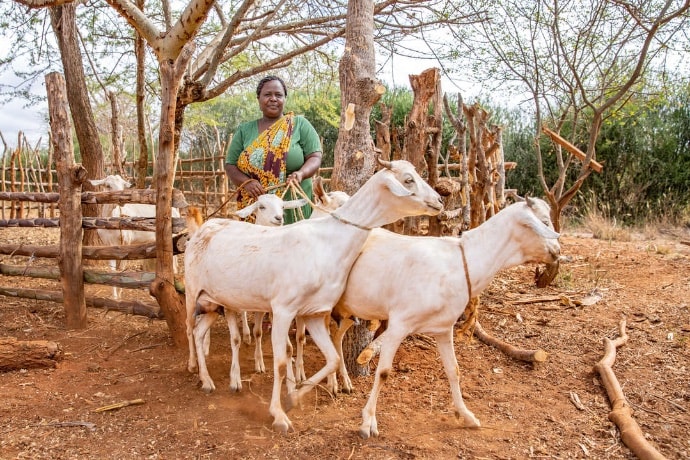 Photo of Lucia posing with goats near pen