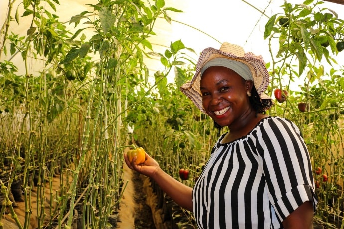 Photo of woman with pepper crop