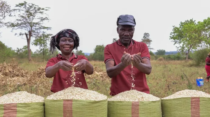 Photo of farmers with harvest