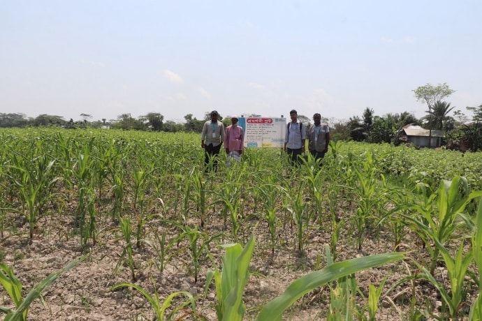 View of farm field