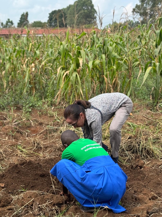 Two people working in corn field