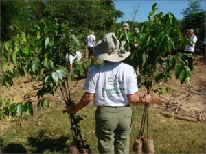 PeaceTrees Tree Planting