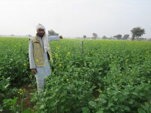 Sustainable Agriculture addressing Climate Action - Global Washington